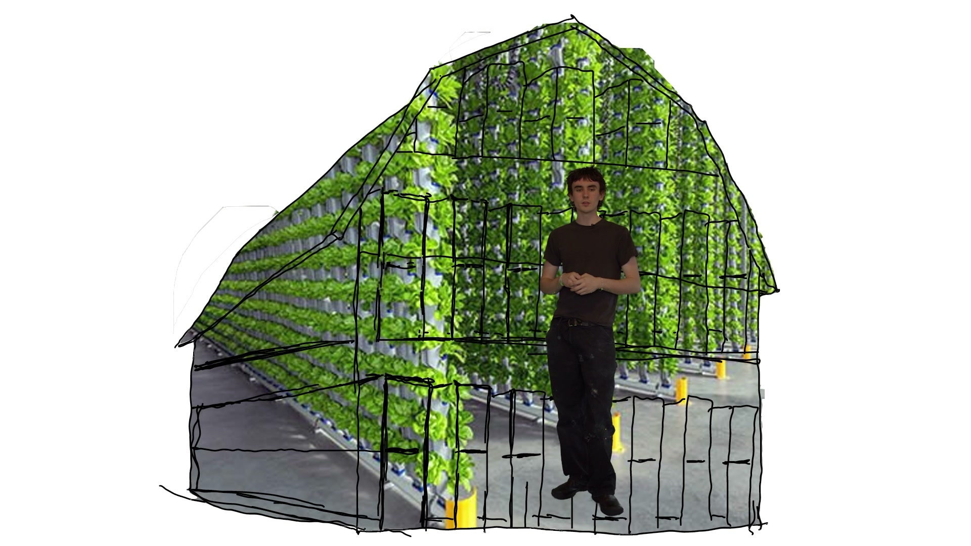 Barn sketch filled with vertical farm photography