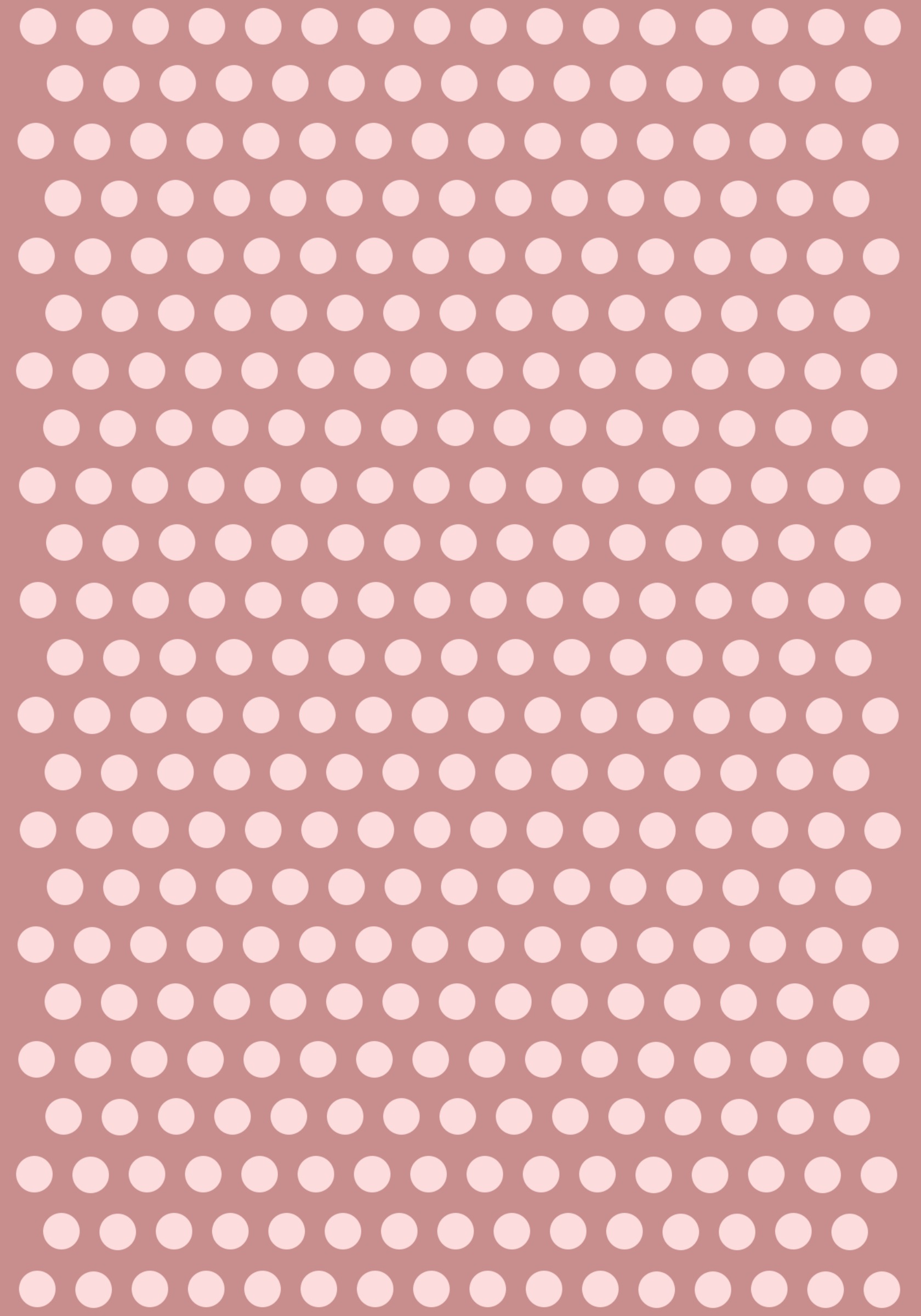 Pippa&rsquo;s Passport &mdash; back cover