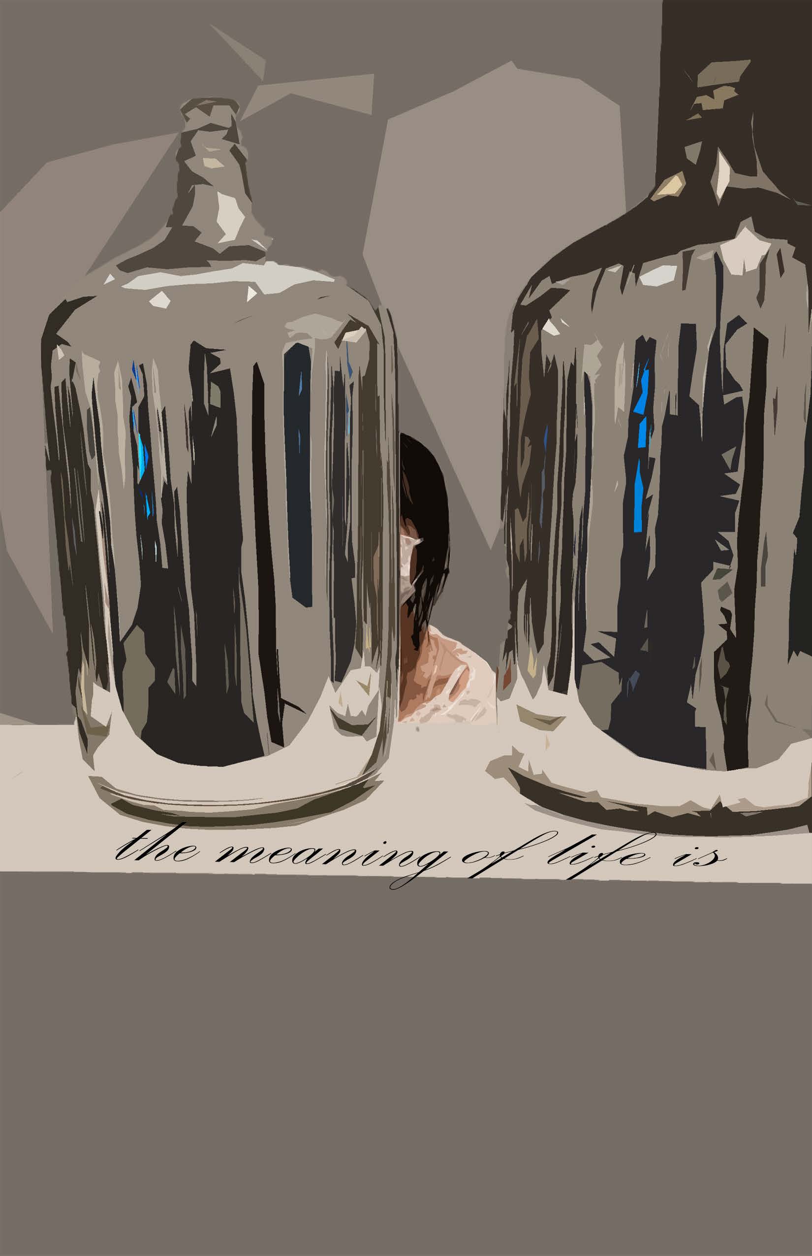 The meaning of life is