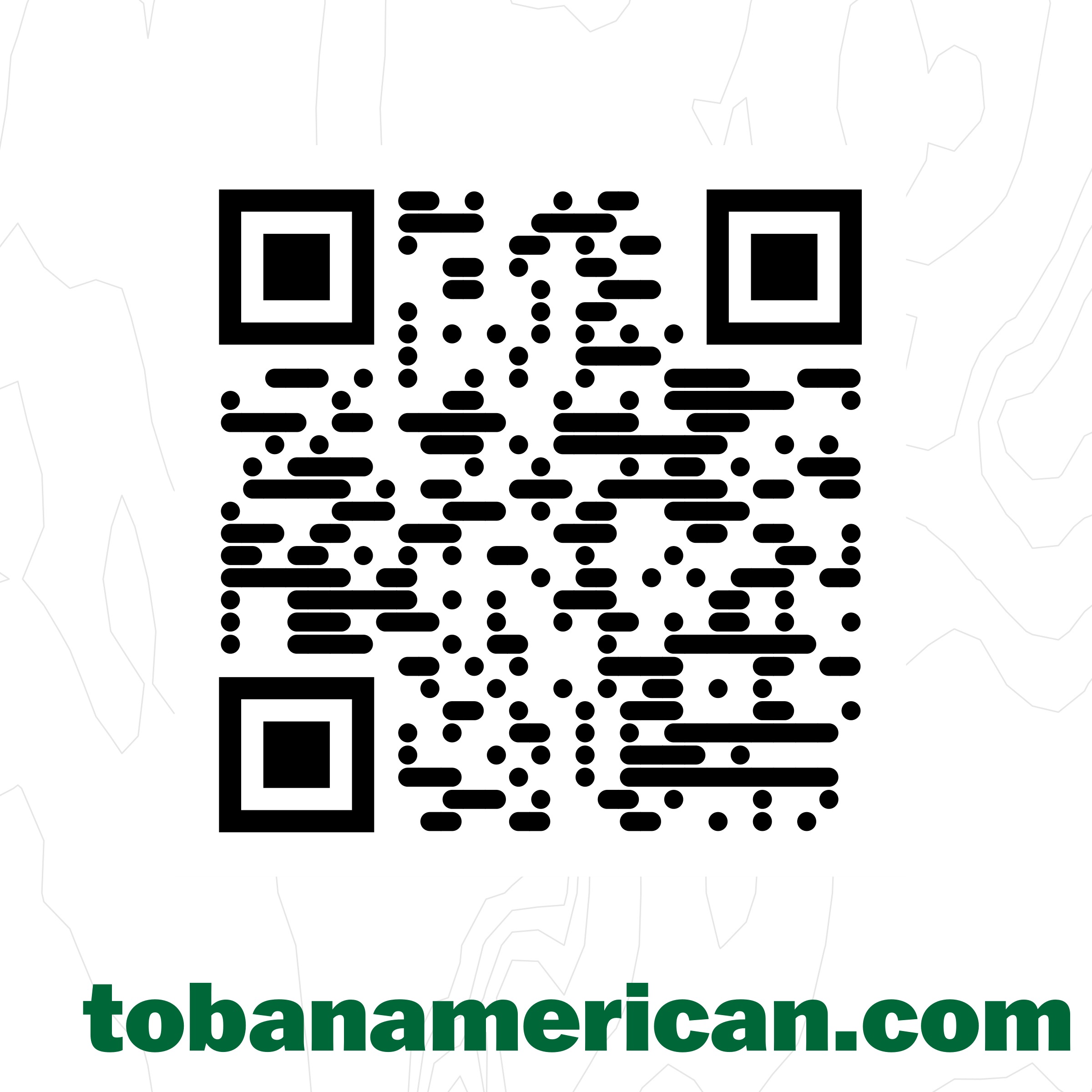 To / Be / An American, tobanamerican.com